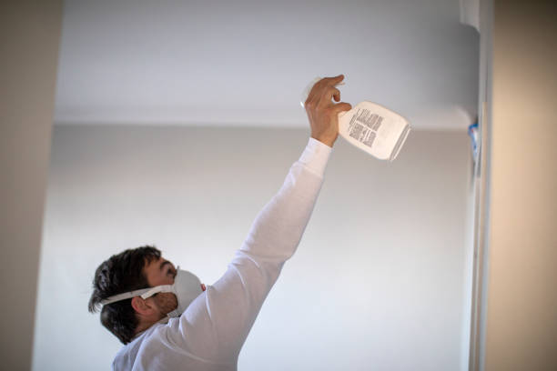 Best White Mold Remediation in Newaygo, MI