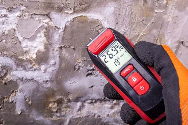 Best Emergency Mold Remediation in Newaygo, MI